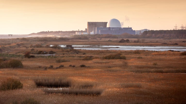 Sizewell C, with a giant white dome, seen on the horizon from Dunwich Heath